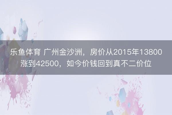 乐鱼体育 广州金沙洲，房价从2015年13800涨到42500，如今价钱回到真不二价位